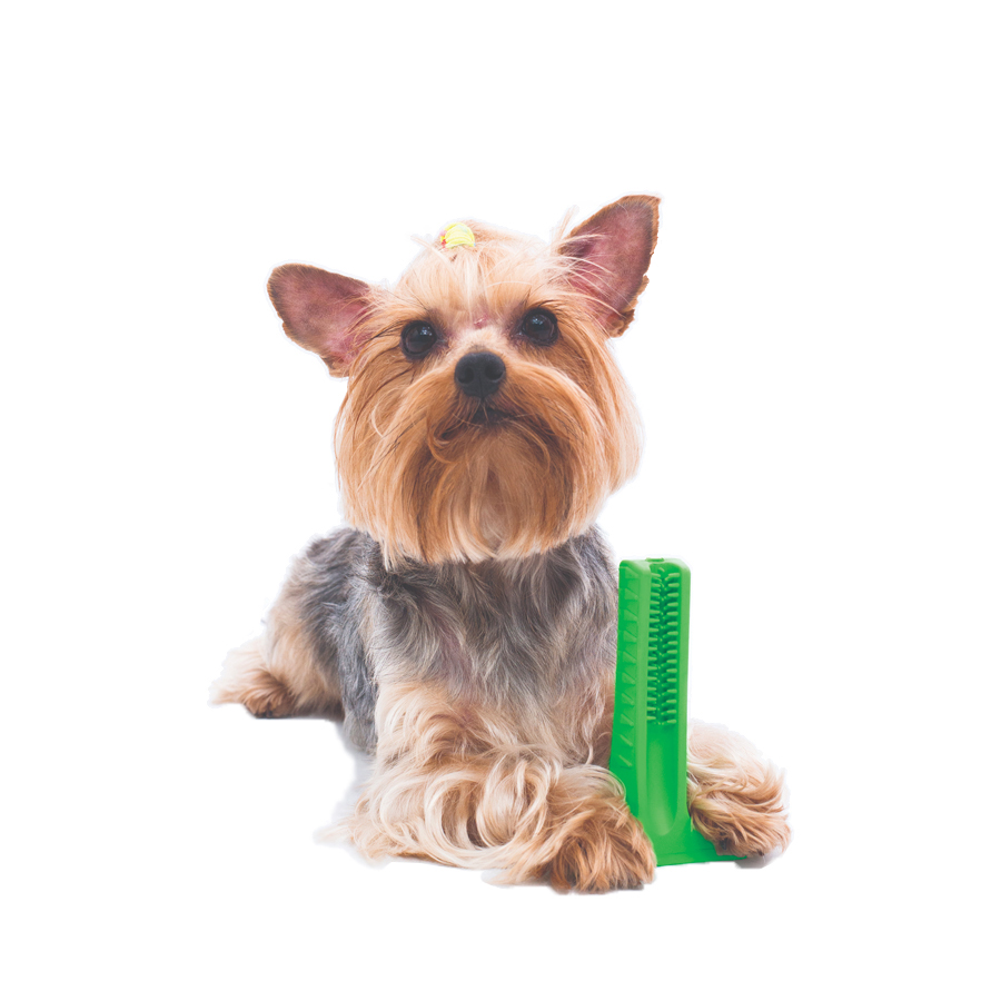 Brushing Stick Small Light Chewer