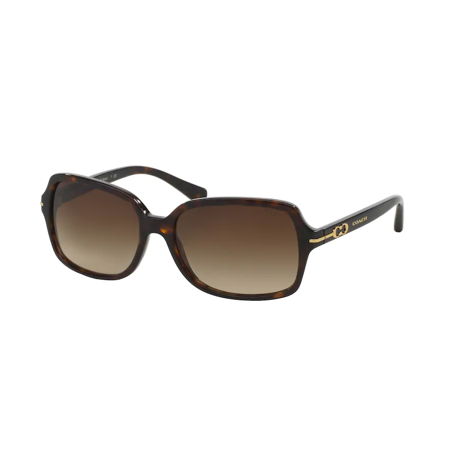 Lunettes de soleil rectangulaires - Femmes - Écaille de tortue foncée