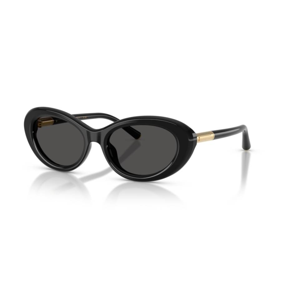 Oval Sunglasses - Women - Black