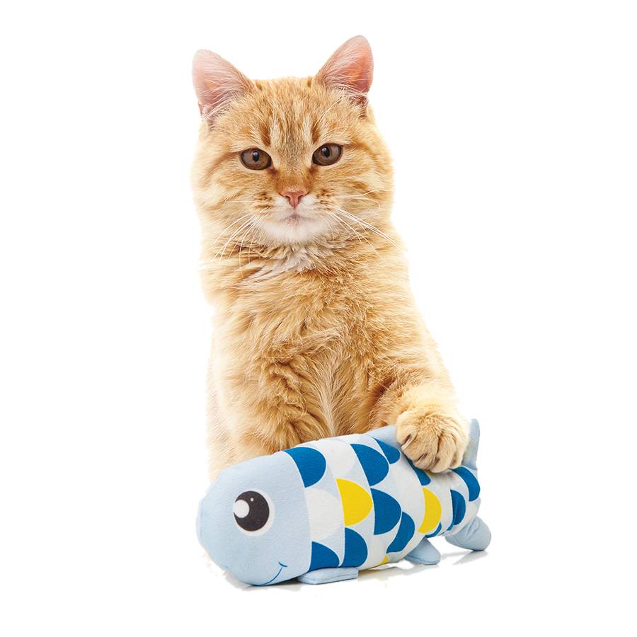 Groovy Fish Cat Toy - Blue