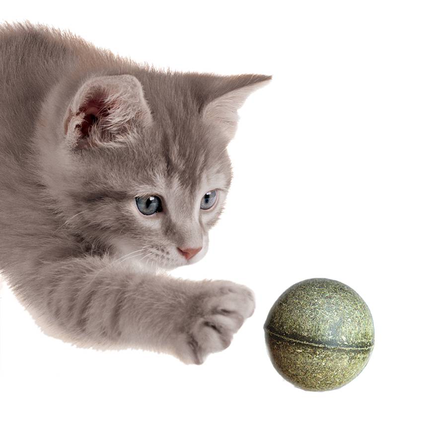 Catnip and Silvervine Play Balls - 2 pieces