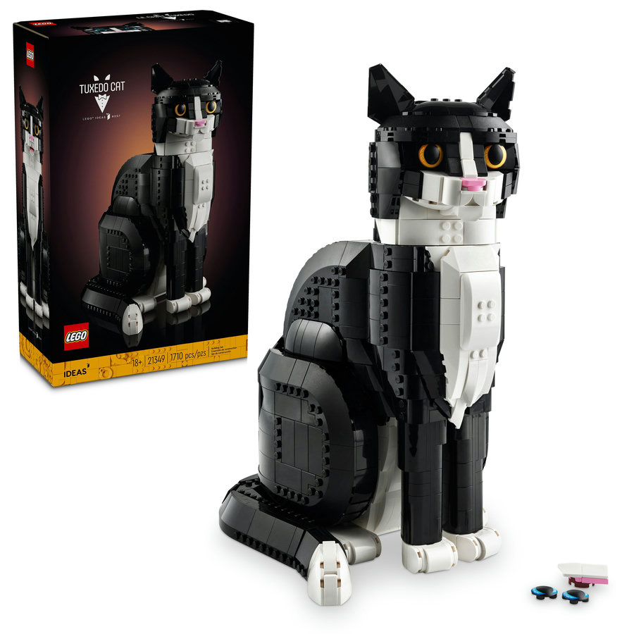 Ideas Tuxedo Cat