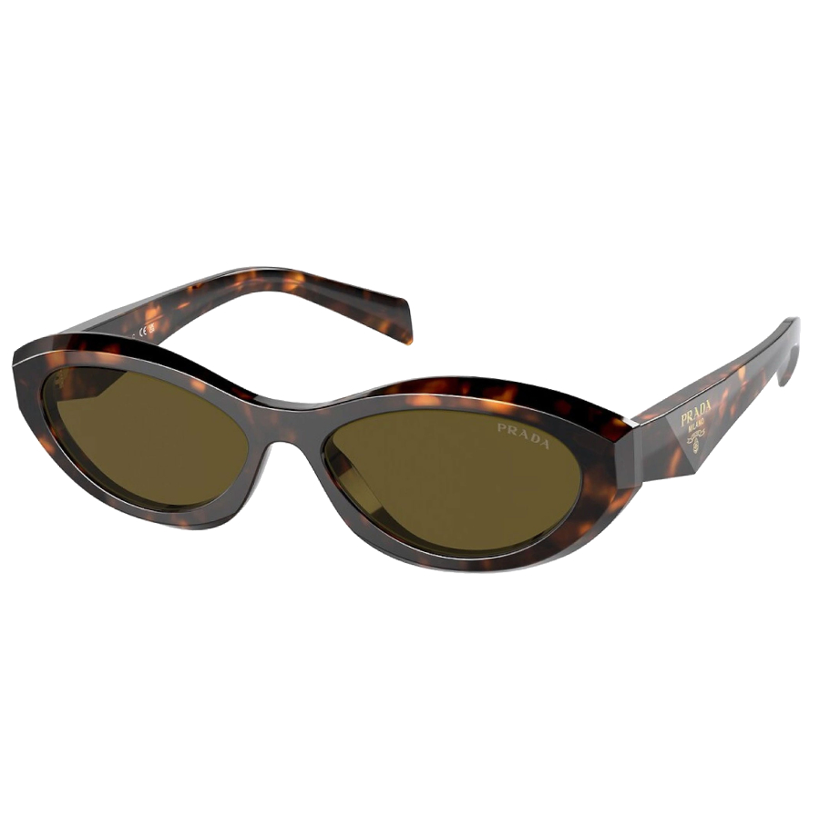 Catwalk Sunglasses - Women - Sage/Honey Tortoise