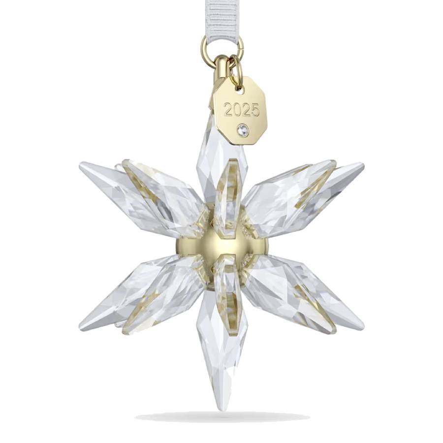 Annual Edition 3D Ornament 2025