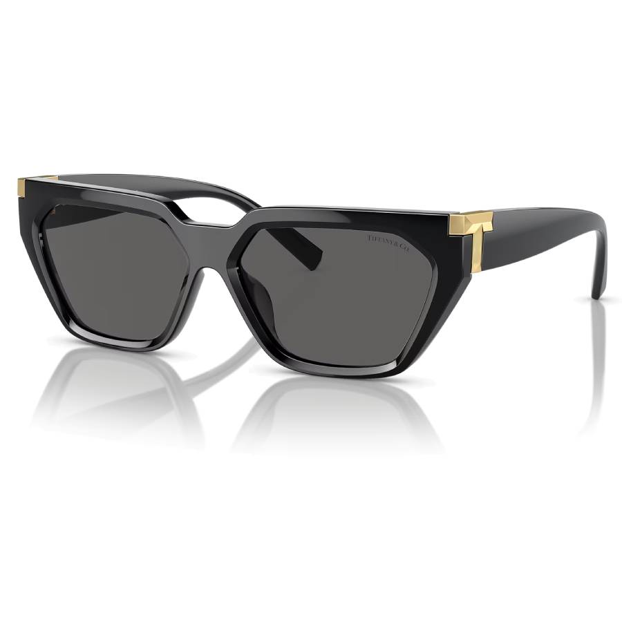 Lunettes de soleil irrégulières avec détail métallique en T - Femmes - Noir