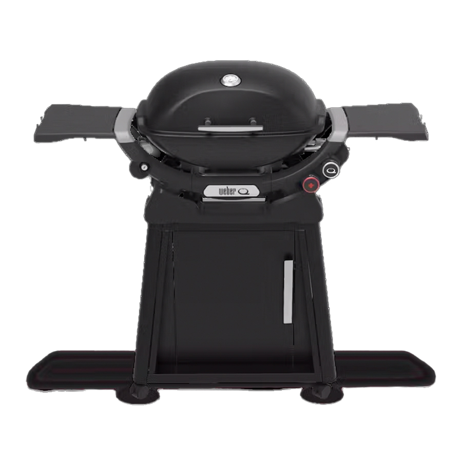 Q 2800N+ Gas Grill